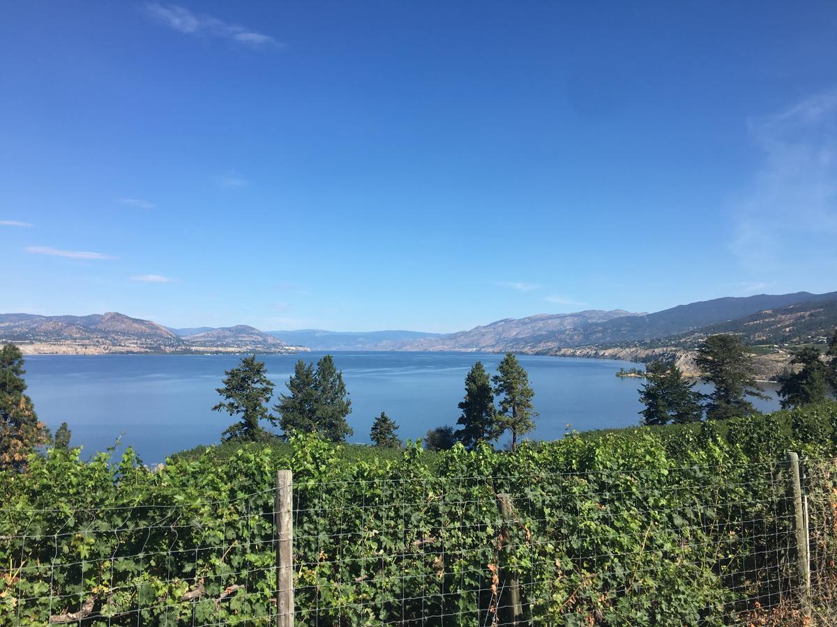 Black Sea Motel Penticton Eksteriør bilde
